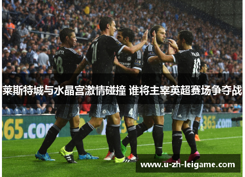 莱斯特城与水晶宫激情碰撞 谁将主宰英超赛场争夺战 莱斯特城与水晶宫激情碰撞 谁将主宰英超赛场争夺战